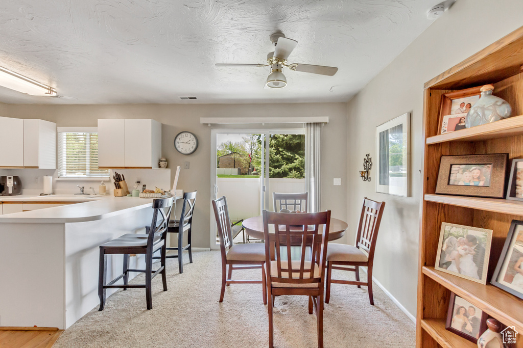 Dining area featuring a wealth of natural light and ceiling fan