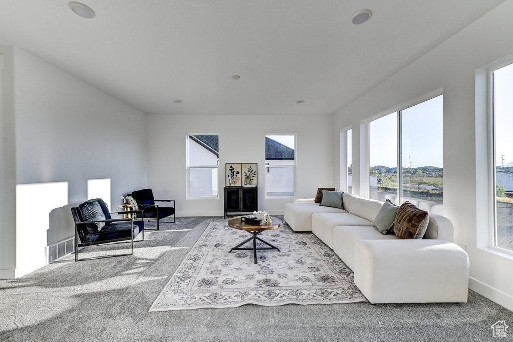 Living room with carpet floors