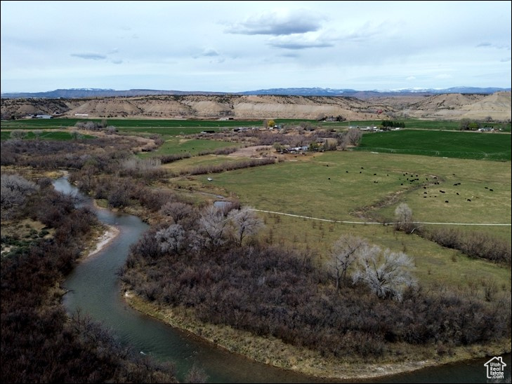 View of bird's eye view