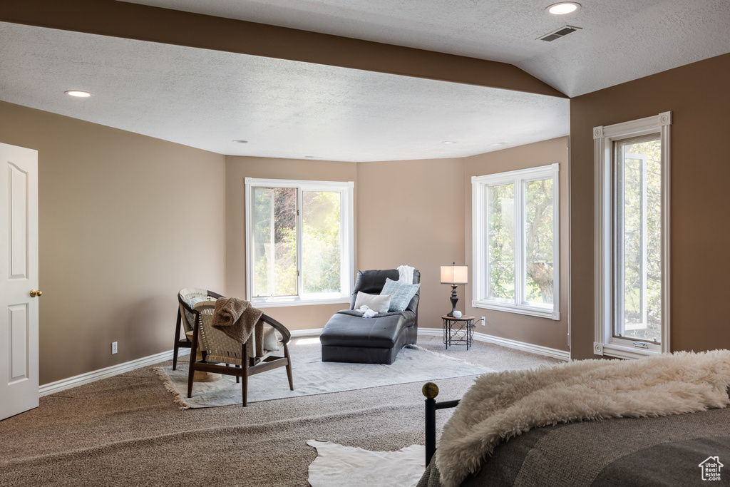 Bedroom with a textured ceiling, vaulted ceiling, and carpet flooring