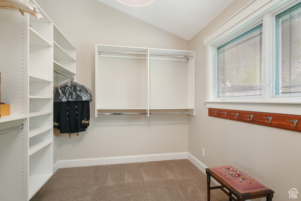 Spacious closet featuring carpet floors and lofted ceiling
