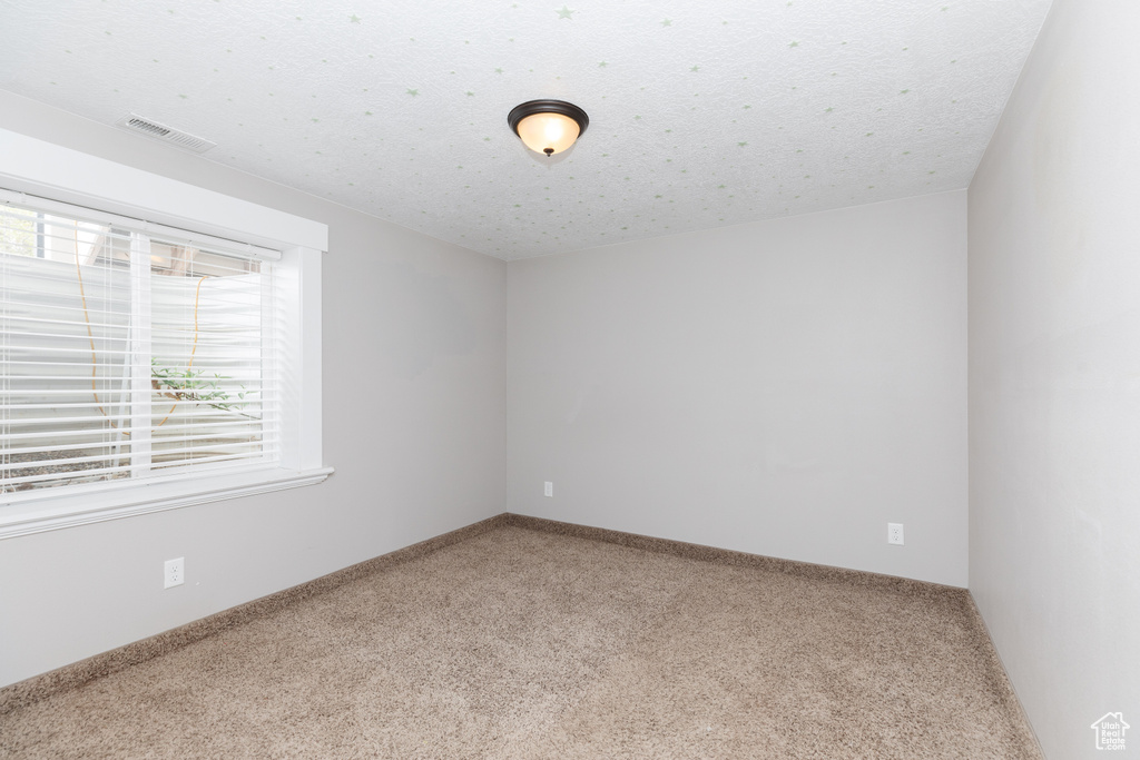 Unfurnished room with carpet floors, a wealth of natural light, and a textured ceiling