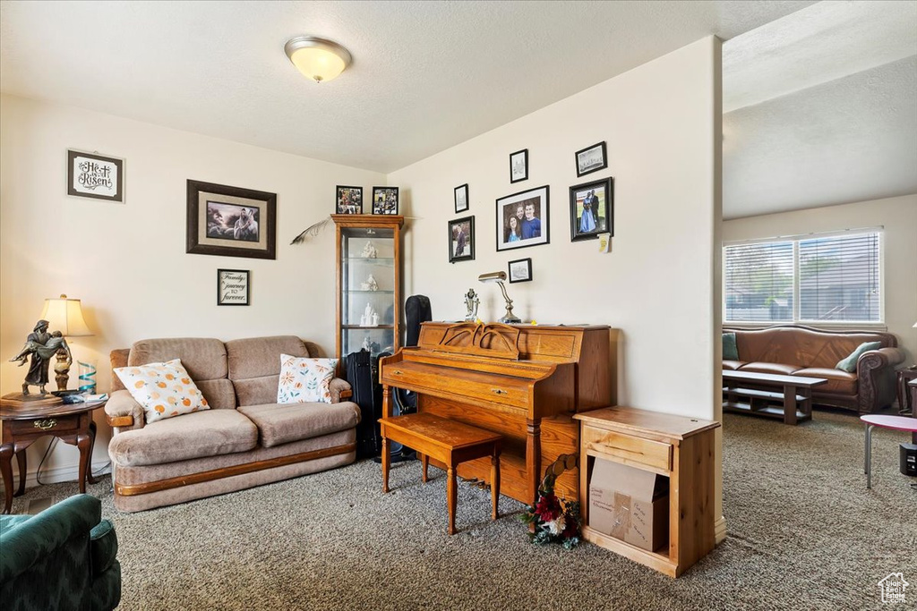 Carpeted living room featuring lofted ceiling