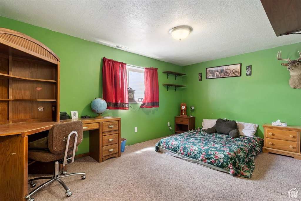 Carpeted bedroom featuring a textured ceiling