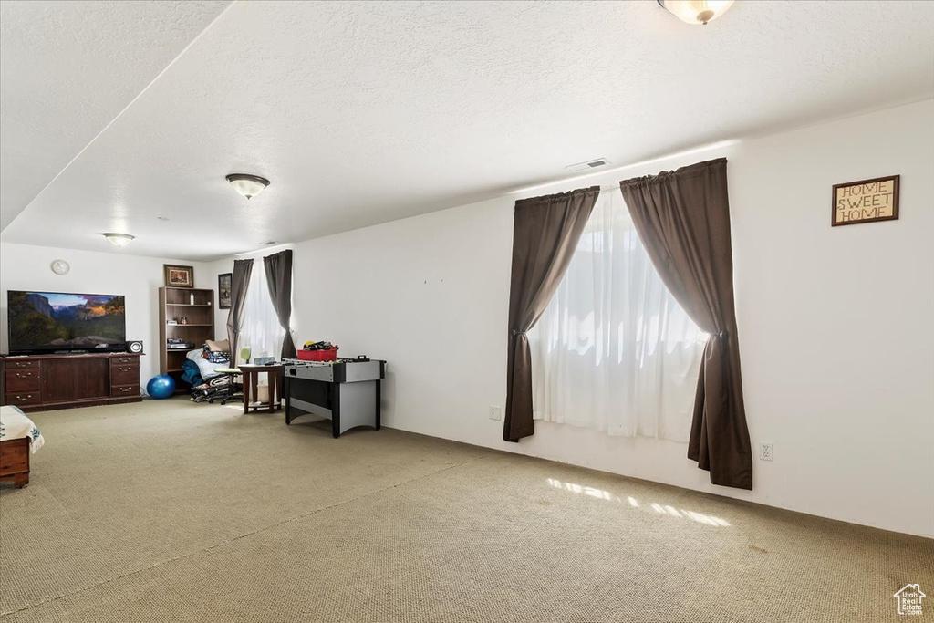 Carpeted living room with a textured ceiling