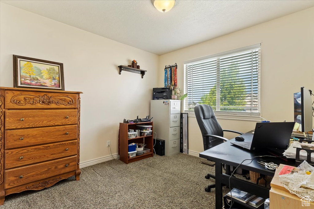 View of carpeted office