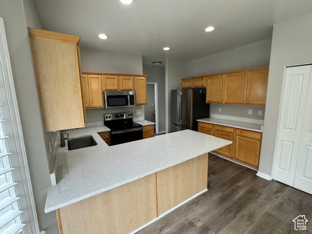 Kitchen featuring kitchen peninsula, dark hardwood / wood-style flooring, stainless steel appliances, and sink