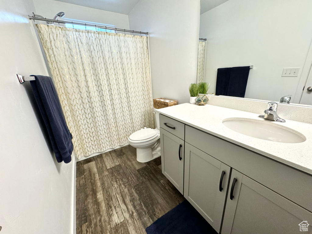 Bathroom featuring wood-type flooring, vanity, and toilet
