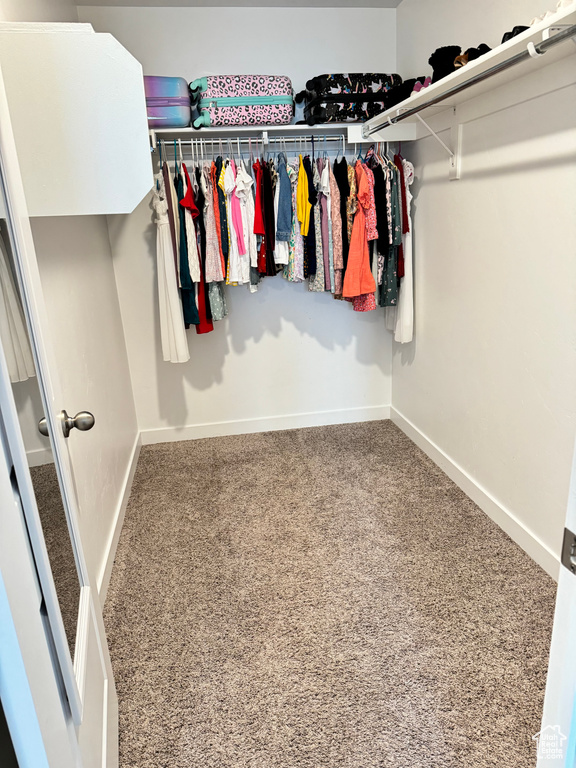 Walk in closet featuring carpet flooring