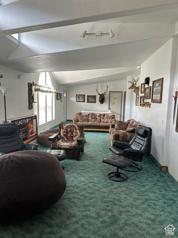 Carpeted living room with rail lighting, vaulted ceiling, and a textured ceiling