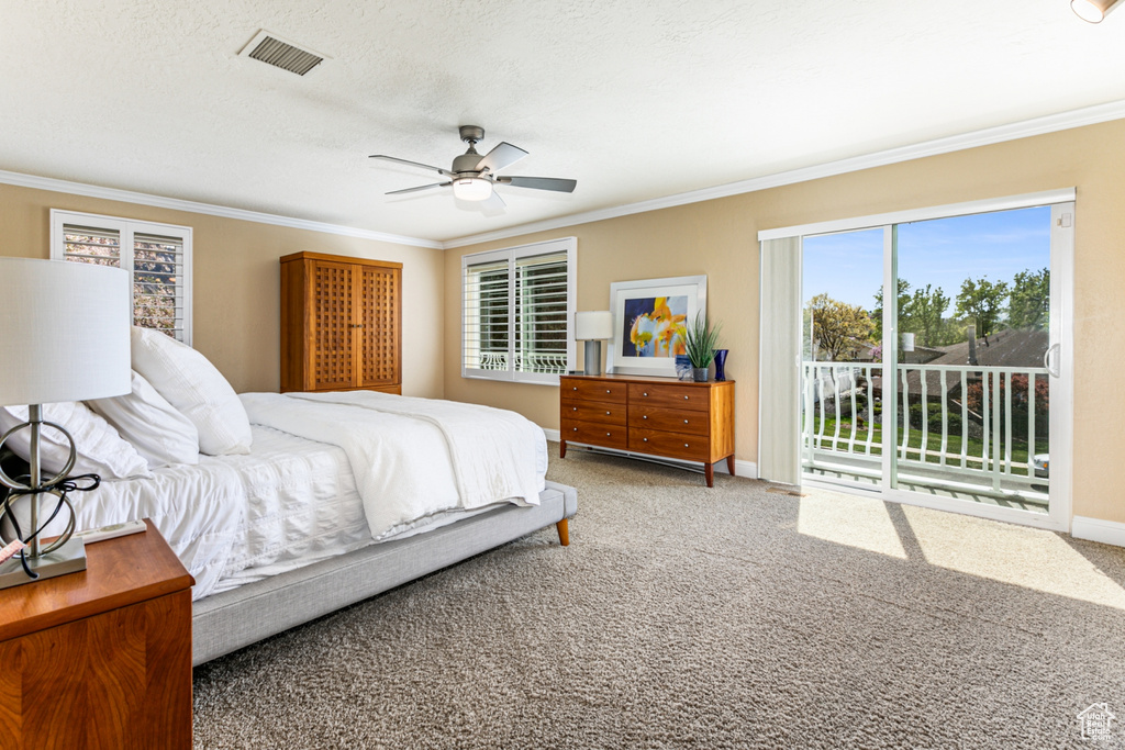 Carpeted bedroom featuring access to outside, ornamental molding, ceiling fan, and a textured ceiling