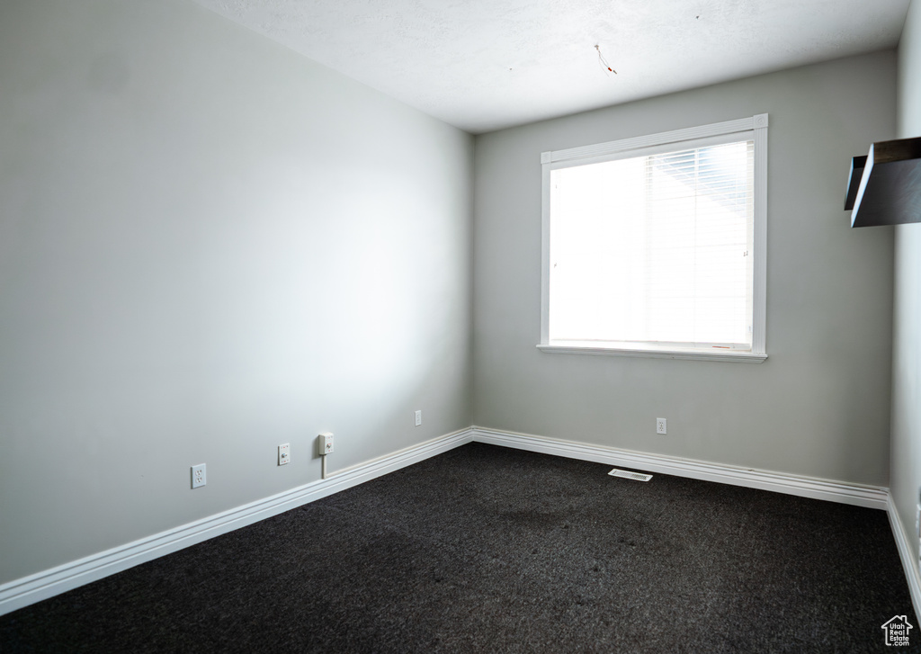 Spare room with carpet and a wealth of natural light