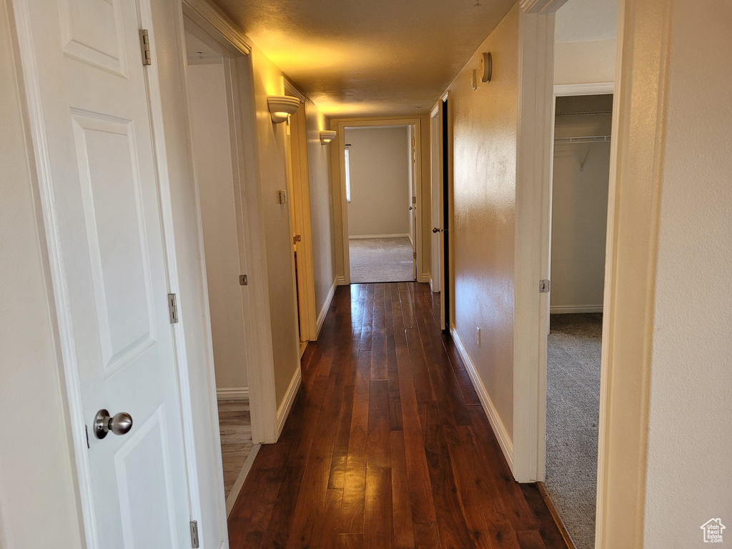 Corridor with dark hardwood / wood-style flooring