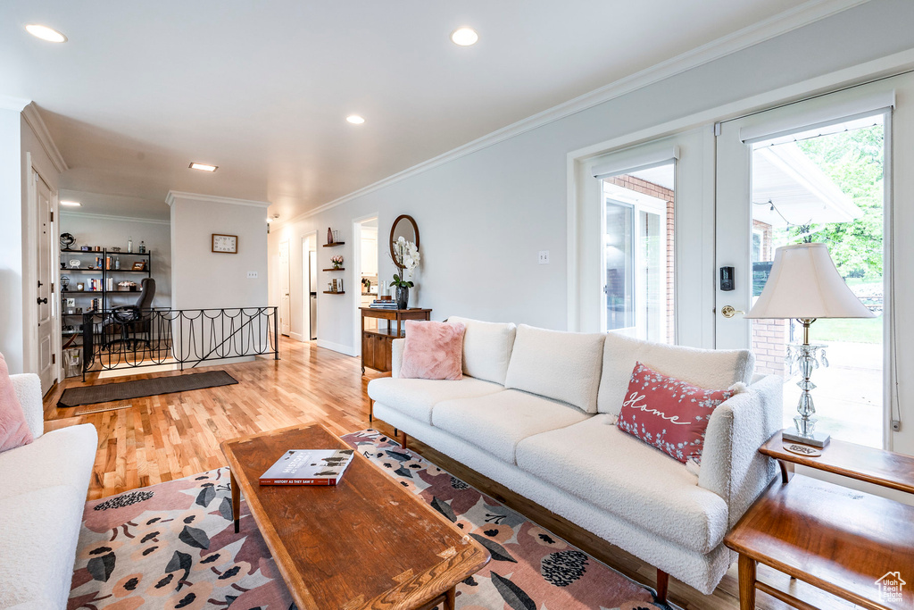 Living room featuring light hardwood / wood-style flooring and ornamental molding