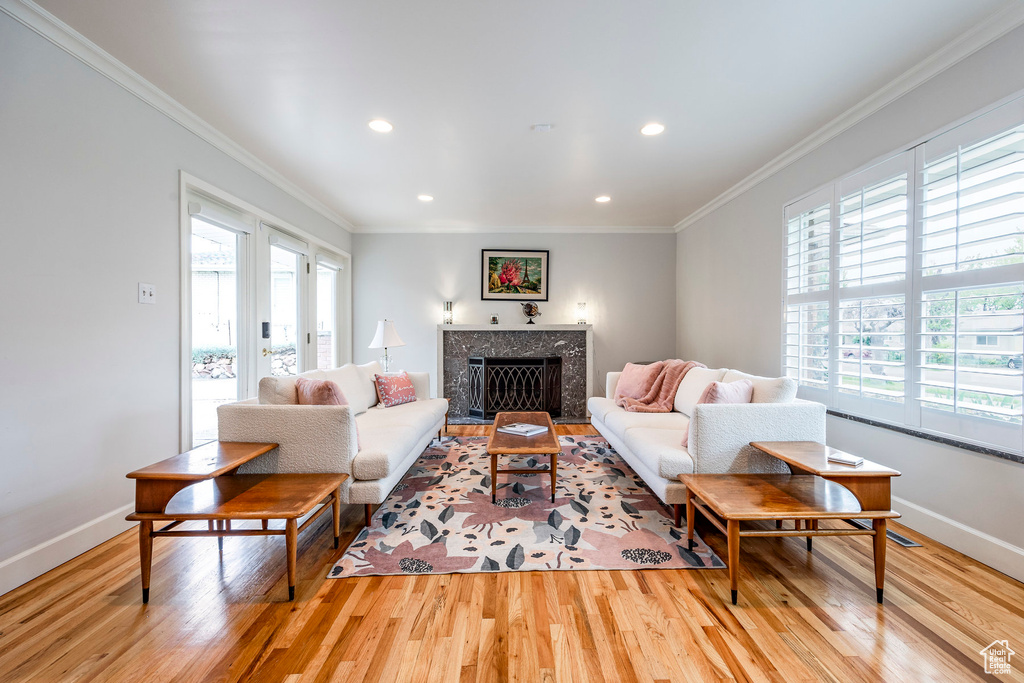 Living room featuring ornamental molding, light hardwood / wood-style flooring, and a healthy amount of sunlight