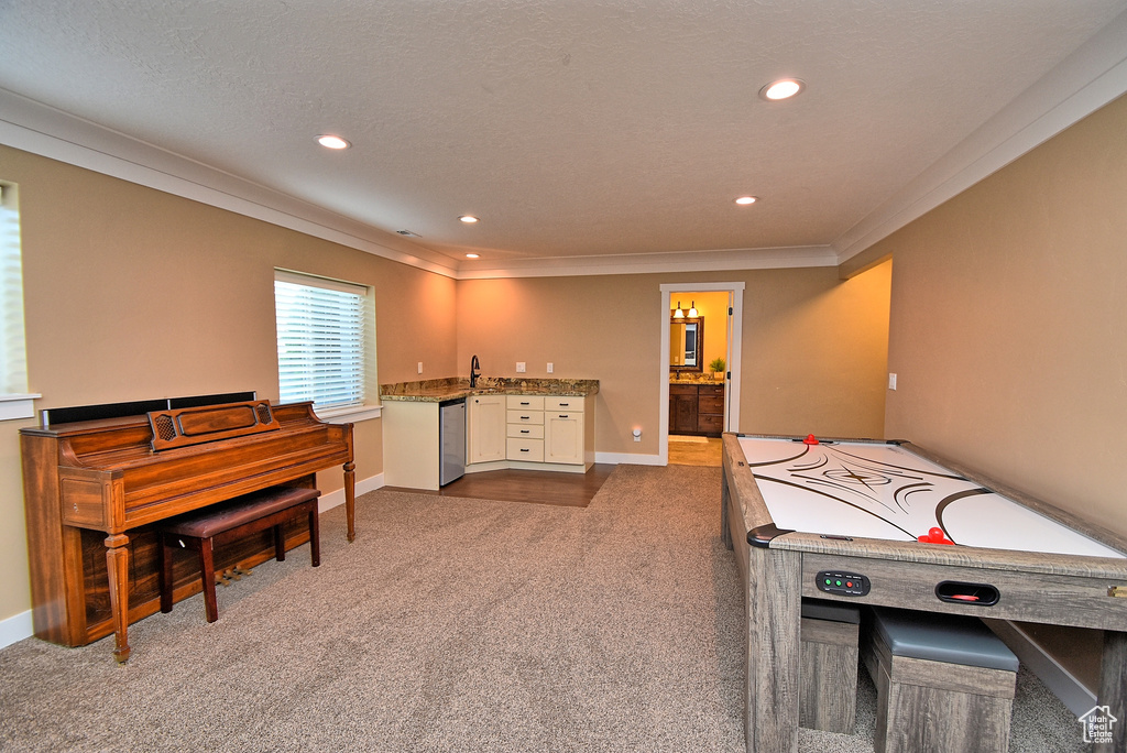 Game room with a textured ceiling, carpet floors, sink, and ornamental molding