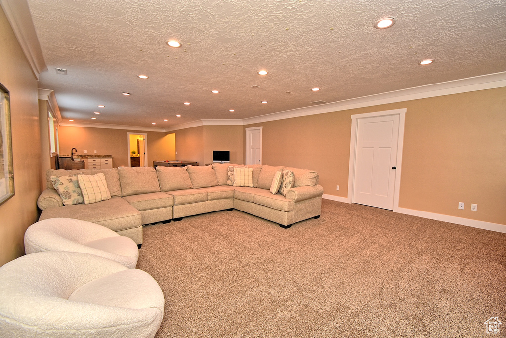 Living room with a textured ceiling, crown molding, and carpet flooring