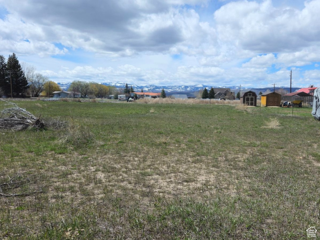 View of yard featuring a storage shed