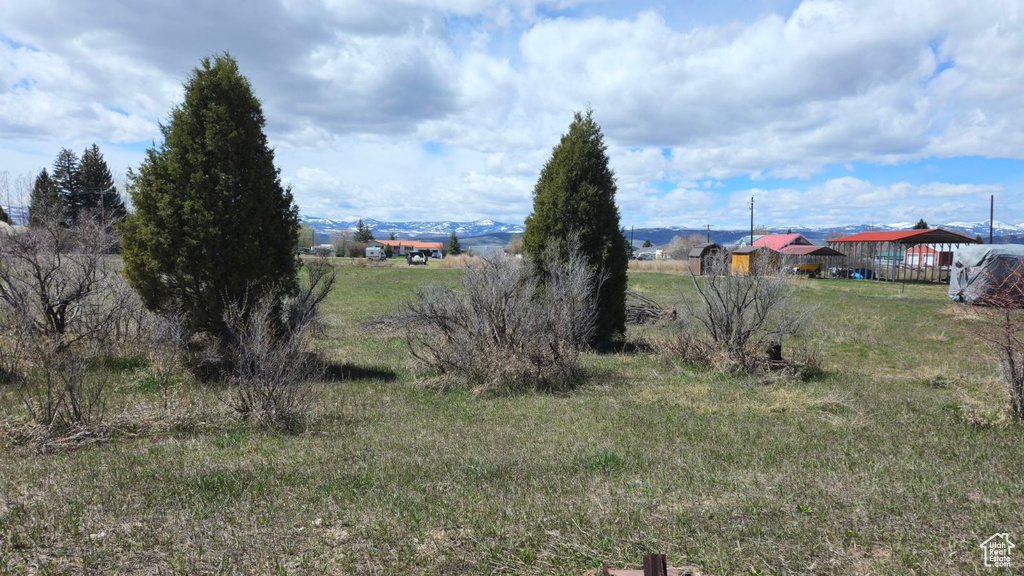 View of yard featuring a rural view