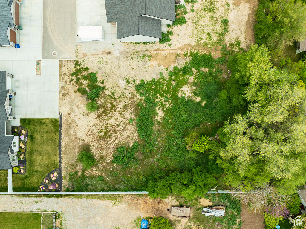 View of bird's eye view