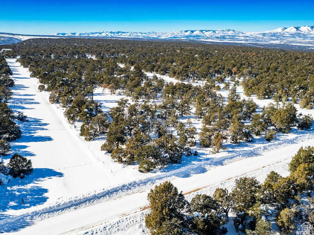 Snowy aerial view featuring a mountain view