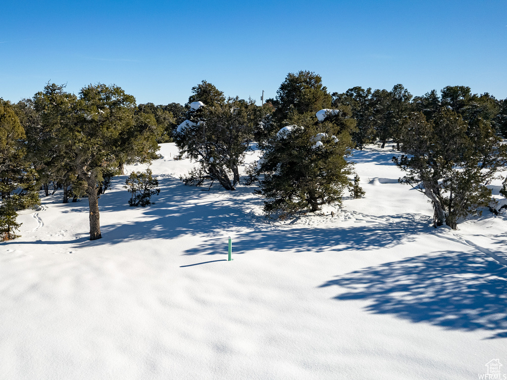 View of yard layered in snow