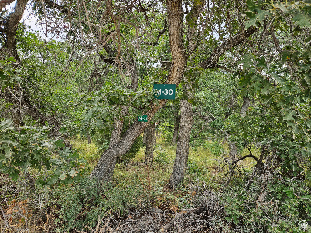 View of landscape