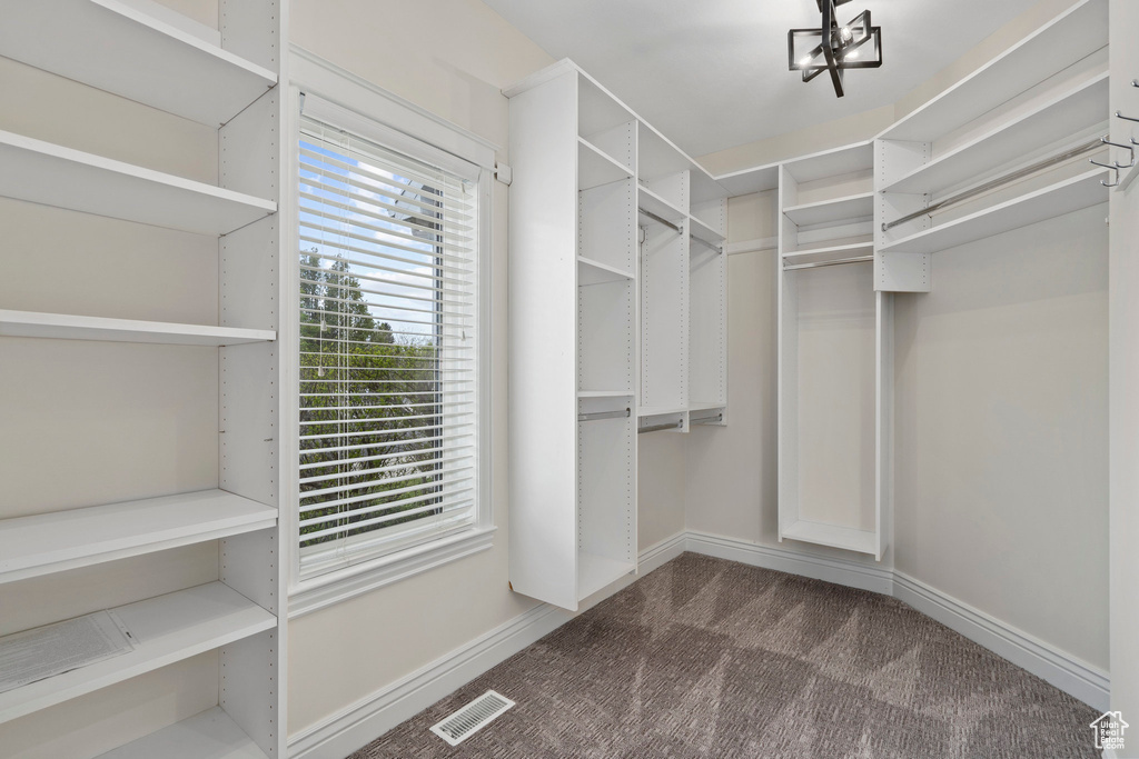 Walk in closet featuring dark colored carpet