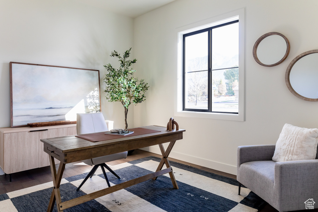 Office area featuring dark wood-type flooring