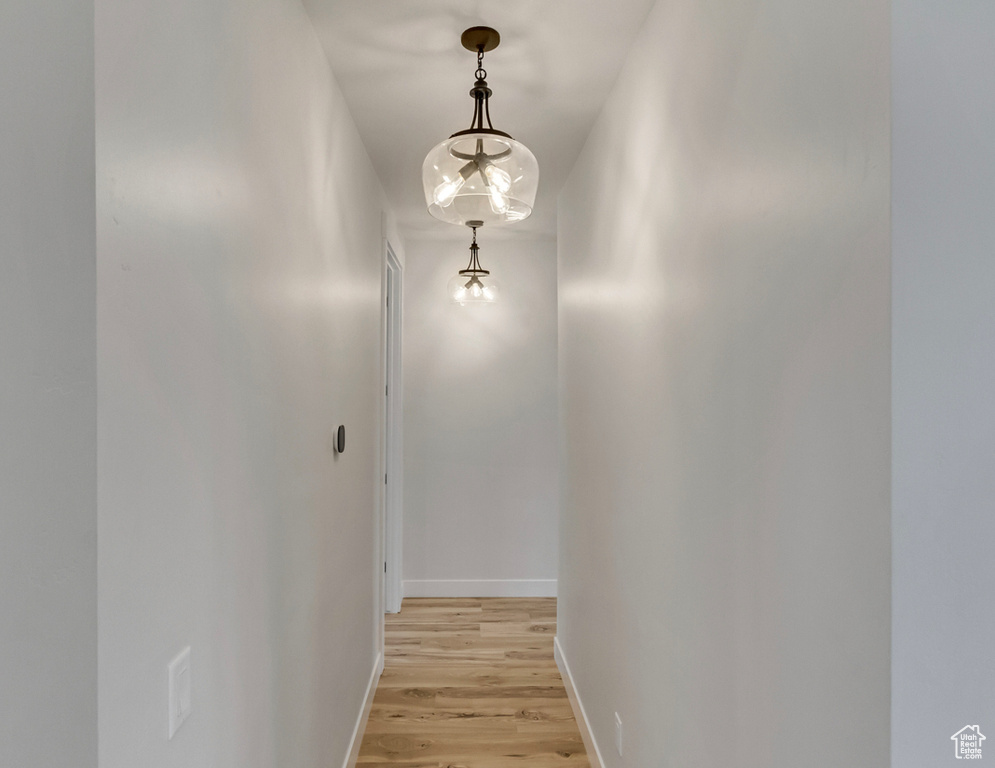 Hallway with light hardwood / wood-style flooring