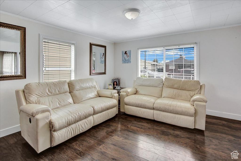 Living room with ornamental molding and dark hardwood / wood-style floors