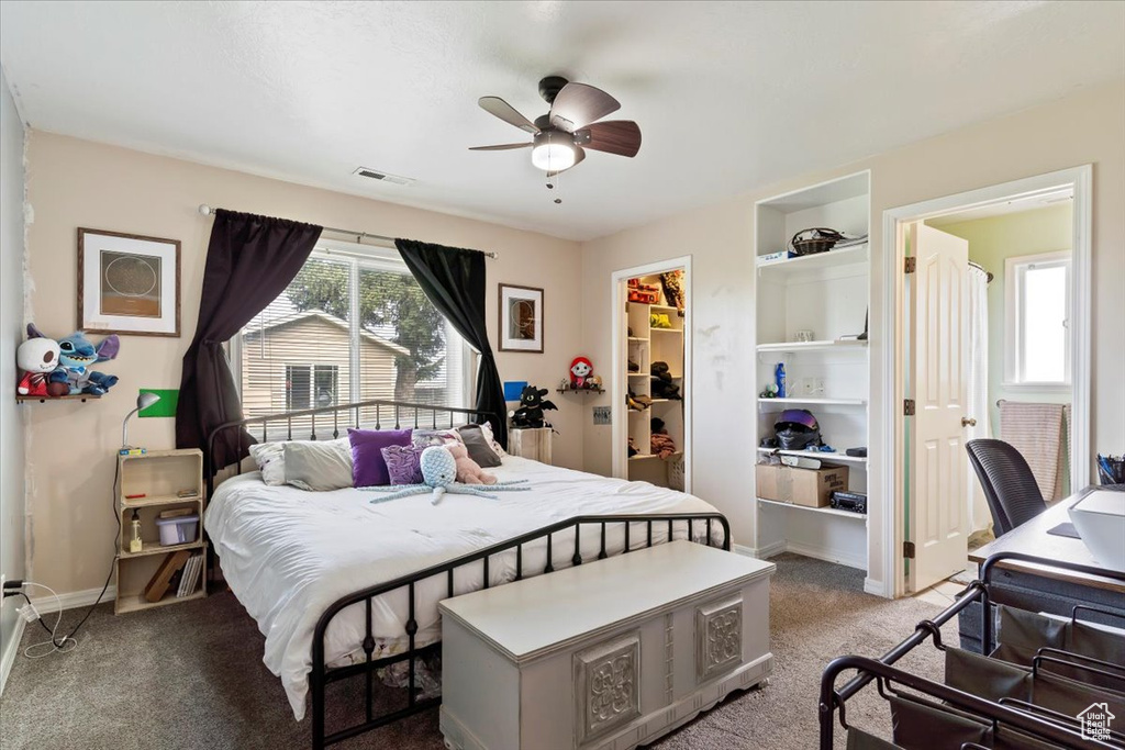 Bedroom with a spacious closet, a closet, ceiling fan, and carpet