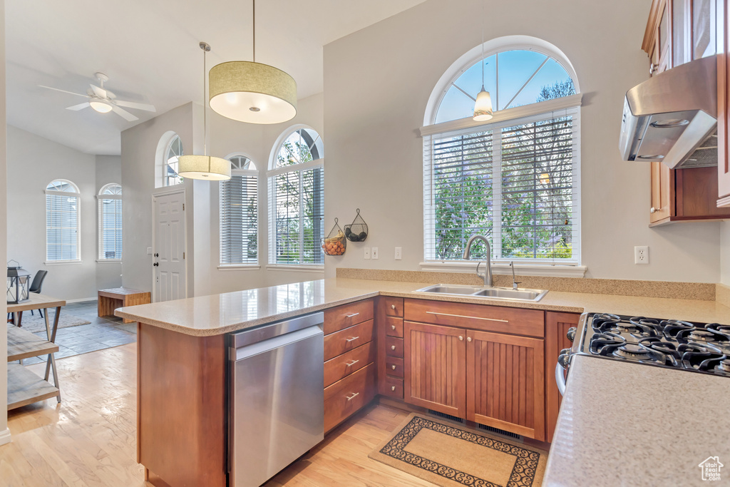 Kitchen with sink, stainless steel dishwasher, plenty of natural light, light hardwood / wood-style flooring, and kitchen peninsula