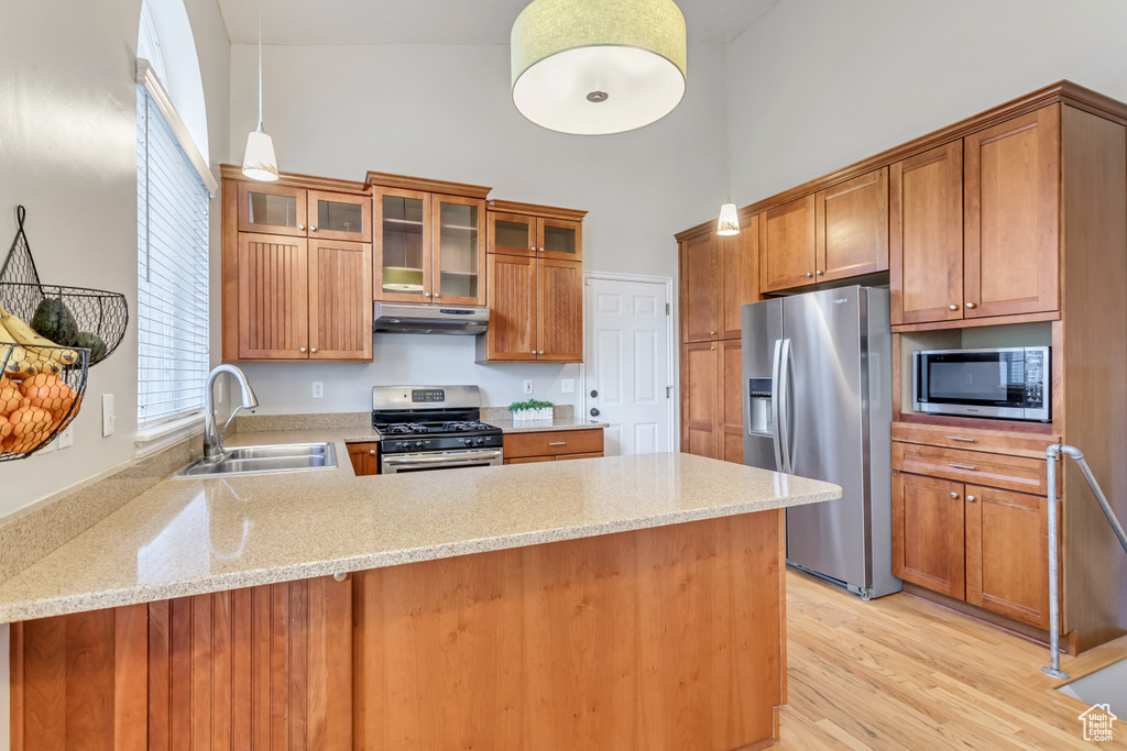 Kitchen featuring kitchen peninsula, stainless steel appliances, light hardwood / wood-style floors, sink, and pendant lighting