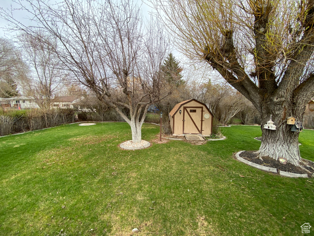 View of yard featuring a storage shed