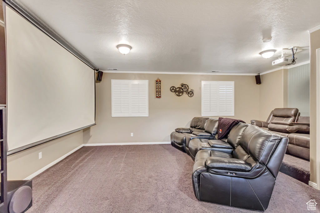 Carpeted home theater room featuring a textured ceiling and crown molding