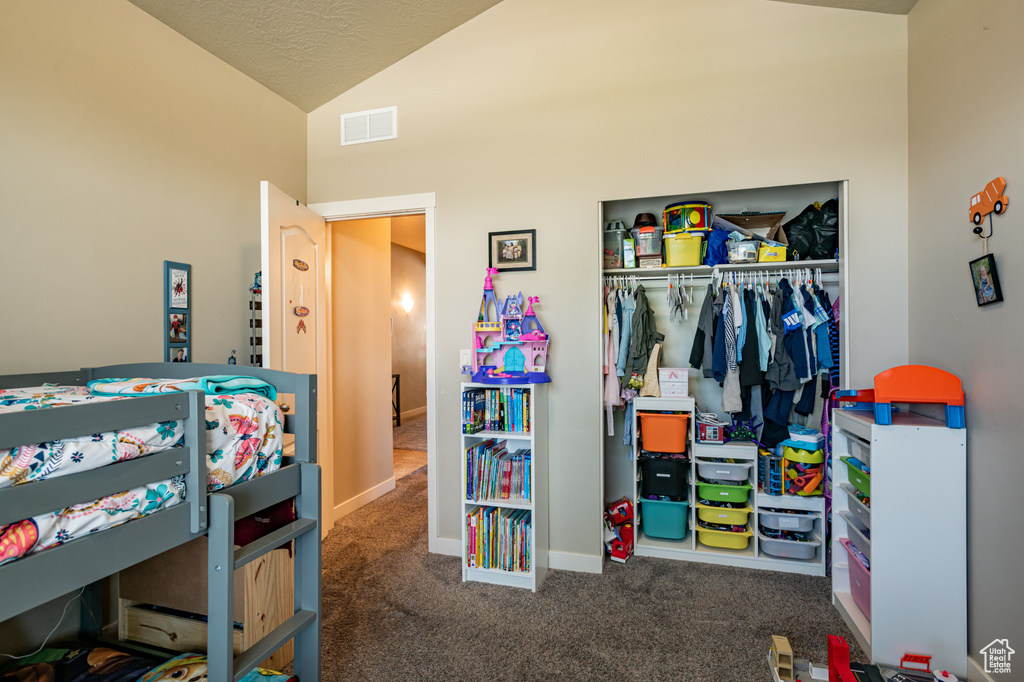 Carpeted bedroom with a closet and lofted ceiling