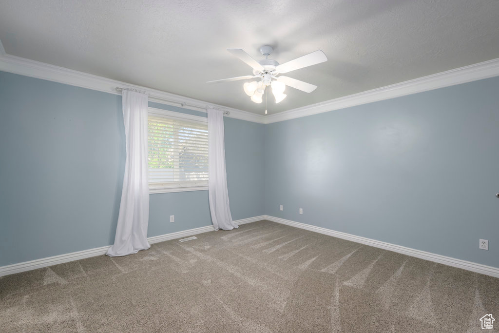 Unfurnished room featuring ceiling fan, carpet, and crown molding