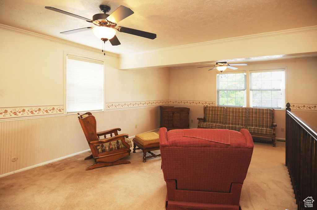 Sitting room with light colored carpet, ceiling fan, and crown molding