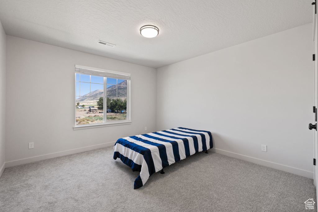 Bedroom featuring carpet floors, a textured ceiling, and a mountain view