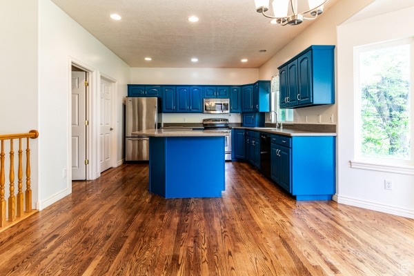 Kitchen featuring blue cabinetry, a center island, stainless steel appliances, and dark hardwood / wood-style floors