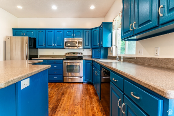 Kitchen with blue cabinets, dark hardwood / wood-style flooring, sink, and stainless steel appliances
