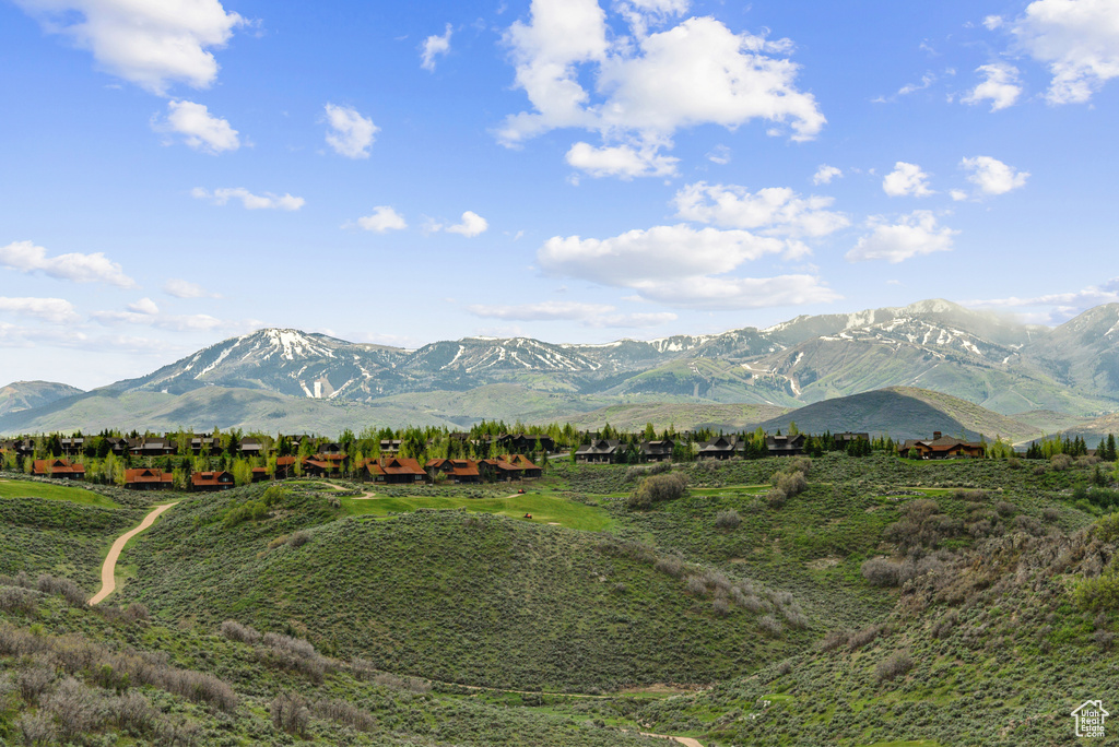 Mountain view