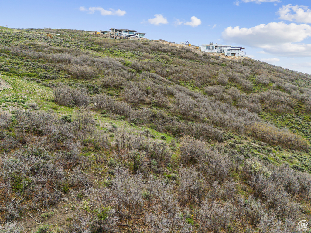 View of local wilderness