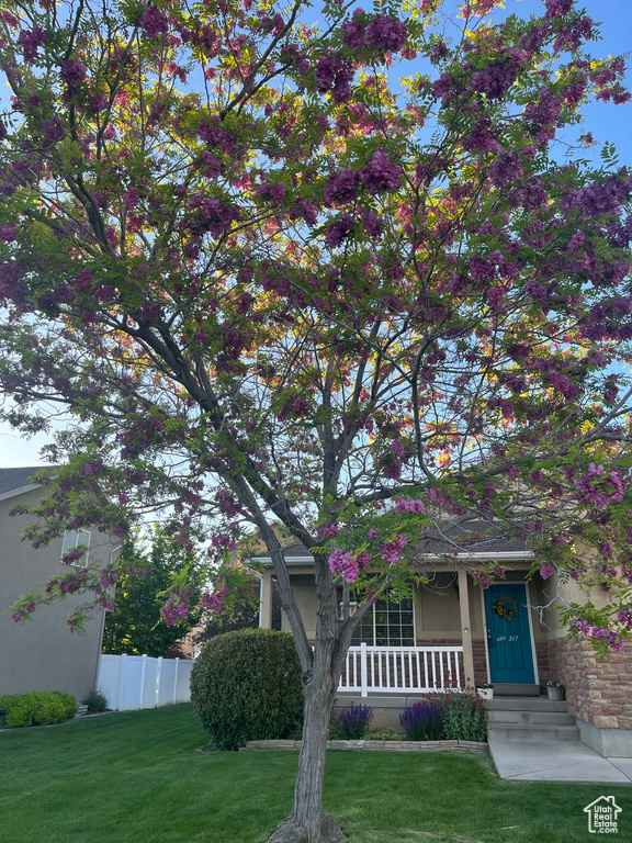 Obstructed view of property featuring a front lawn