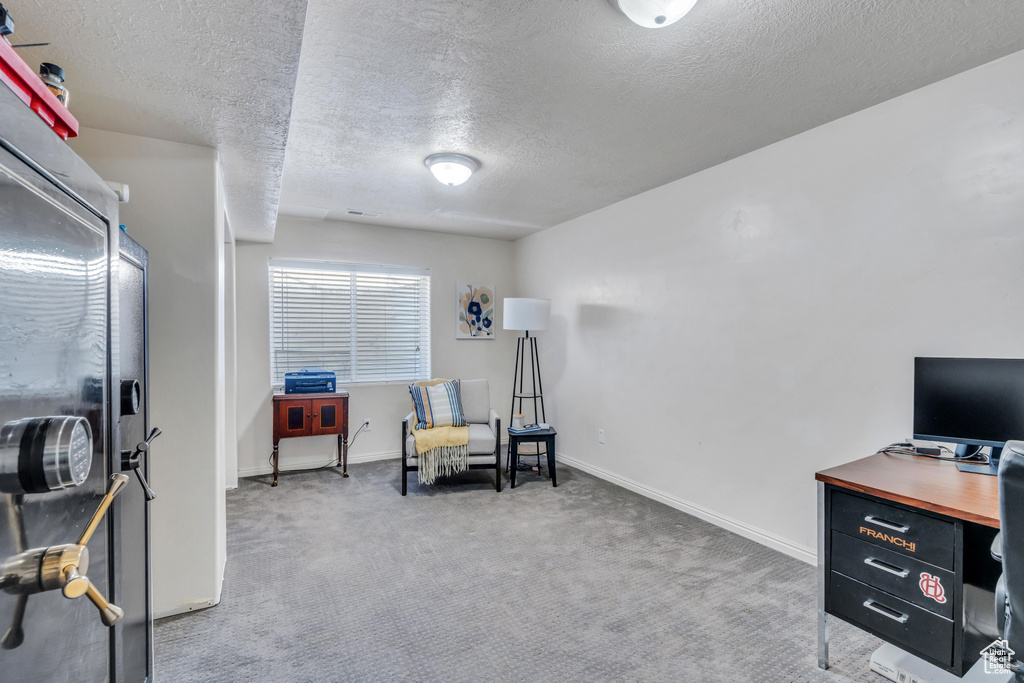 Interior space with carpet floors and a textured ceiling