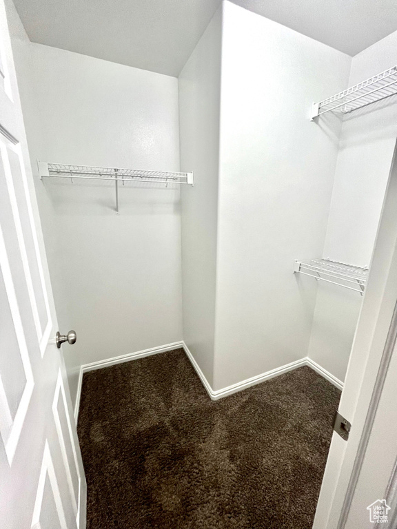 Walk in closet featuring carpet floors