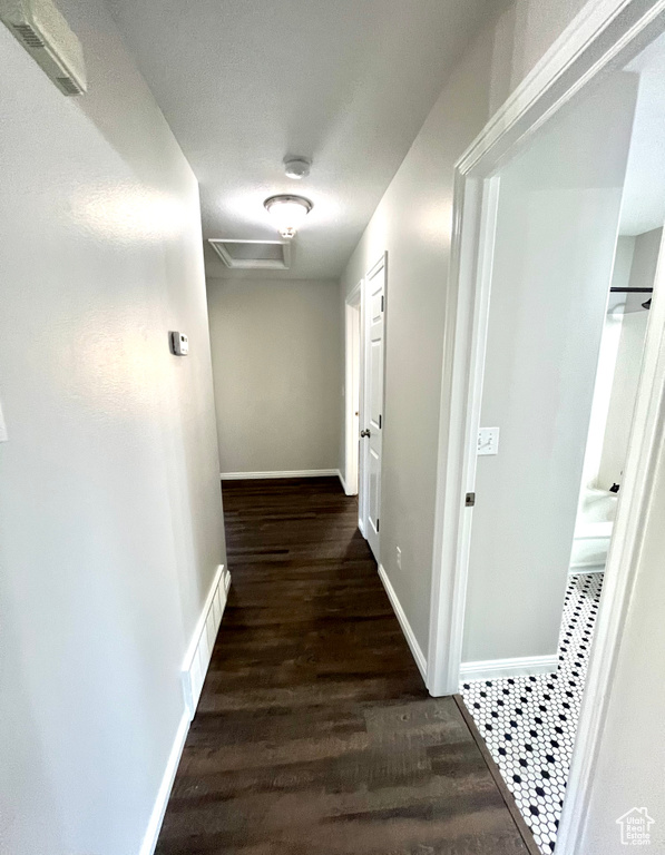 Hallway featuring dark hardwood / wood-style flooring