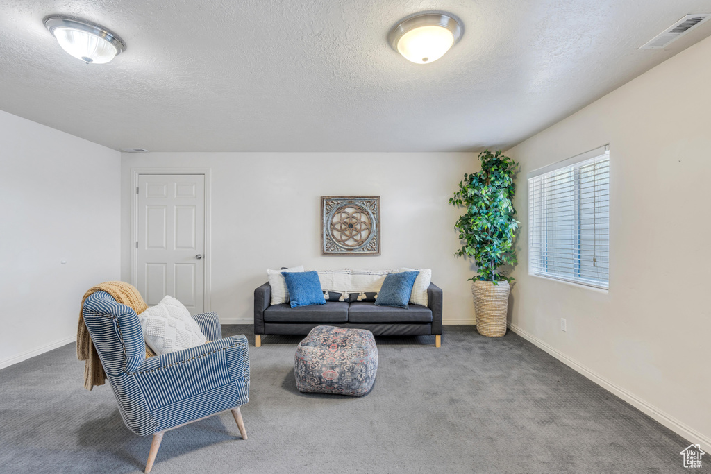 Living room with a textured ceiling and dark colored carpet