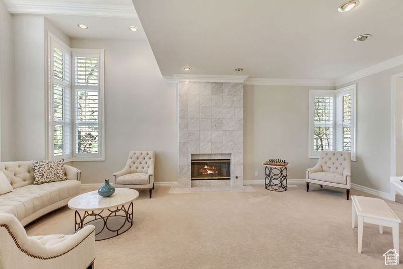 Living room with plenty of natural light, a tile fireplace, and carpet flooring